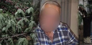 «Βγήκε στην αυλή να πάρει το κινητό του και τον καταπλάκωσε δέντρο»