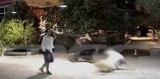 Έτσι «σακάτεψαν» οι νταήδες την 67χρονη και τον γιο της