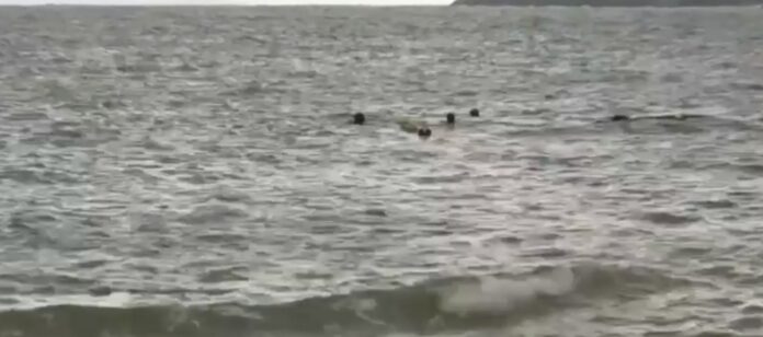 νεκρη