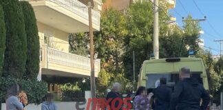 Σκύλος επιτέθηκε και κατασπάραξε γυναίκα στη μέση του δρόμου