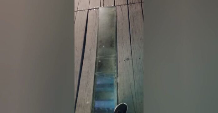 vlcsnap-2022-11-01-23h03m49s253-780x405