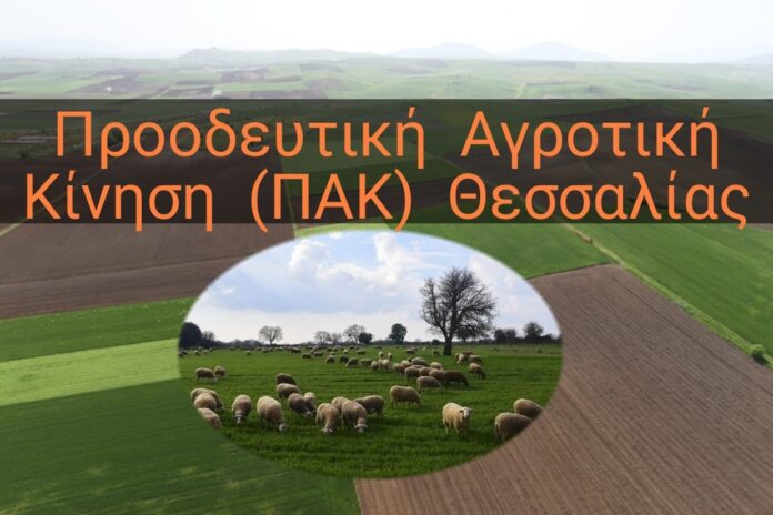 ΠΑΚ ΘΕΣΣΑΛΙΑΣ
