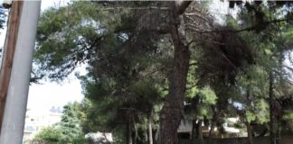 37χρονος αυτοκτόνησε με πιστόλι ευθανασίας σφαγείου – Έβαλε τέλος σε μια ζωή γεμάτη βάσανα