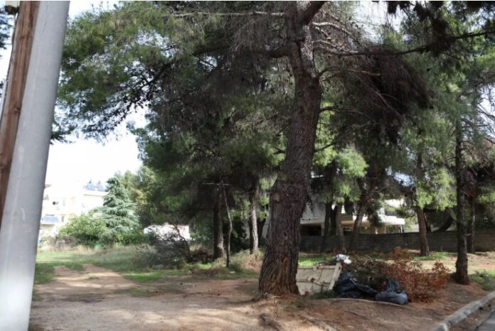 αυτοκτονια