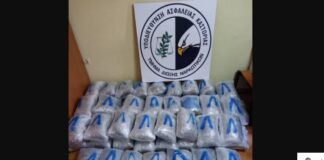 Τα 80 κιλά κάνναβης, οι «καβάτζες» και η δημοτική σύμβουλος – Βίντεο της αστυνομίας