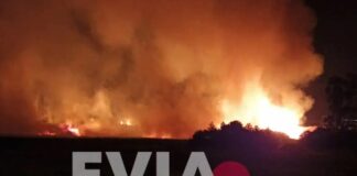 Φωτιά στην Εύβοια: Ώρες αγωνίας καθώς οι φλόγες προχωράνε ανεξέλεγκτες (video)