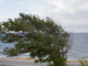Για βροχές, καταιγίδες και ανέμους ενημερώνει το Λιμεναρχείο