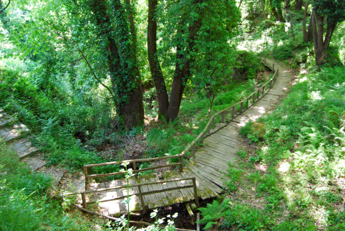 Τμήμα-του-μονοπατιού-από-την-Τσαγκαράδα-προς-την-Νταμούχαρη-2048x1371