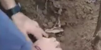 Η στιγμή που ξεθάβουν σε αυλή το ένοχο μυστικό του ιδιοκτήτη – Δείτε πώς τον έλουσε κρύος ιδρώτας