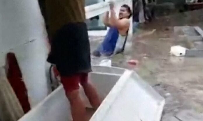 plimira-nea-zilandia-81