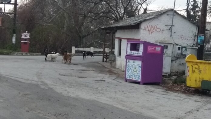 ΑΓΕΛΗ ΑΝΑΚΑΣΙΑ