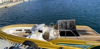 Βρέθηκε στα βράχια με βαθύ τραύμα στο κεφάλι