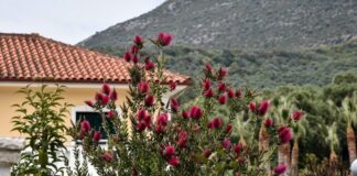 Οι τρεις εκδοχές για την ψυχρή εισβολή την Πρωτομαγιά