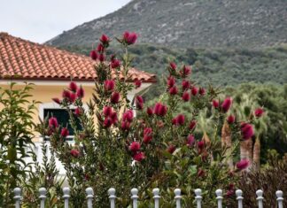 Πως θα κινηθεί ο καιρός στη Θεσσαλία