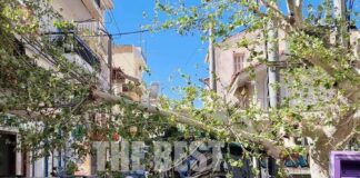 Κλαδί – γίγας κατέληξε πάνω σε φορτηγό και σε μπαλκόνι