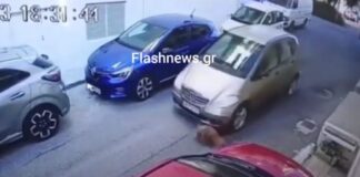 Πρόστιμο 40.500 ευρώ στην 63χρονη οδηγό που πάτησε εν ψυχρώ τον σκύλο με το αυτοκίνητό της στο Ηράκλειο