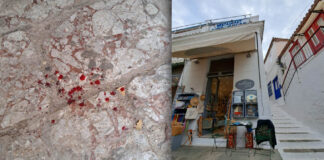 «Έχεις πρόβλημα; Εγώ έριξα τη γάτα απ’ την ταράτσα»