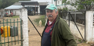 Σύλληψη και πρόστιμο 5.000 ευρώ στον 70χρονο που κατηγορείται για κακοποίηση σκύλου