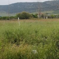 ΒΟΗΘΗΤΙΚΟ ΓΗΠΕΔΟ ΔΙΜΗΝΙΟΥ 1