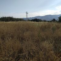 ΒΟΗΘΗΤΙΚΟΙ ΓΗΠΕΔΟ ΔΙΜΗΝΙΟΥ 2