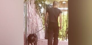 Συνεχίζονται οι καταγγελίες για τον ιδιοκτήτη πίτμπουλ – «Ήμουν μπροστά όταν τον εκπαίδευε»