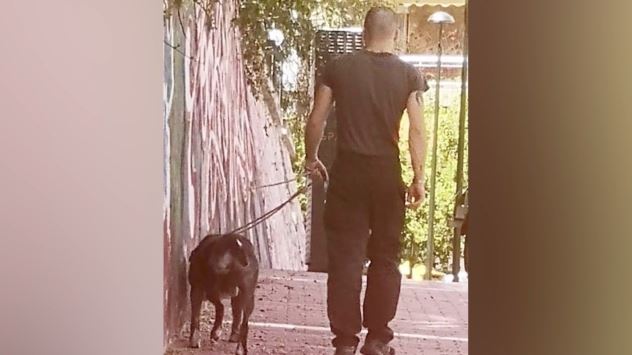 πιτμπουλ