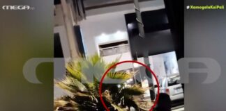 Νέο βίντεο ντοκουμέντο από τον εμπρησμό στο κατάστημα επίπλων