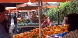 Ο Άδωνις Γεωργιάδης είχε τα «τυχερά» του σε λαϊκή αγορά – «Αλανιάρη και ζημιάρη» του φώναζε μια πωλήτρια (βίντεο)