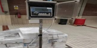 Εικόνες μετά τη σύλληψη ψαρά για τα όστρακα που έβγαλε από τη θάλασσα