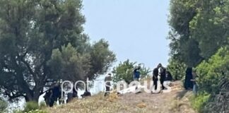 Τον σκότωσε γιατί μπήκαν τα γίδια στο χωράφι του