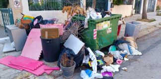 «Άδειασε» το σπίτι της και γέμισε τους κάδους απορριμμάτων οι οποίοι έπιασαν φωτιά