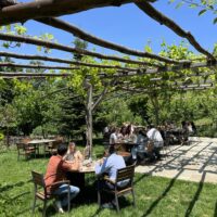 351739231_1225269078192906_6745912631854393657_n