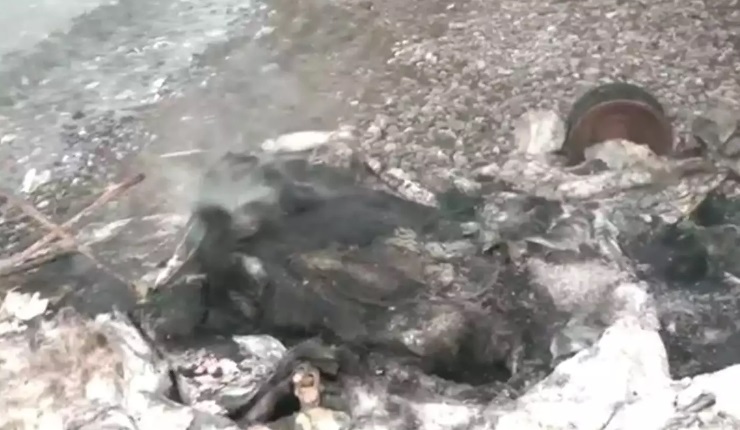 Η φωτιά έλιωσε το τροχόσπιτο όπου βρέθηκε απανθρακωμένη η ηλικιωμένη στον  Αλμυρό (βίντεο) - Magnesia News