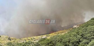 Φουντώνει η φωτιά στη Νάξο – Eνισχύσεις από Σύρο και Αθήνα
