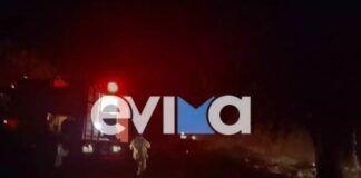 Φωτιά σε δασική έκταση στην Εύβοια – «Κάποιος προσπαθεί να μας κάψει»
