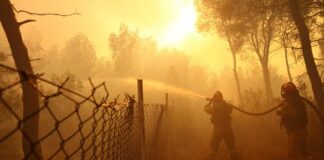 Σε τρία μέτωπα η πύρινη λαίλαπα στη Μάνδρα