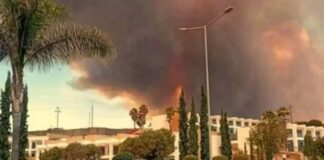 «Επικράτησε ένας χαμός» – Εργαζόμενη σε ξενοδοχείο της Ρόδου περιγράφει τι έζησε όταν έφτασαν οι φλόγες