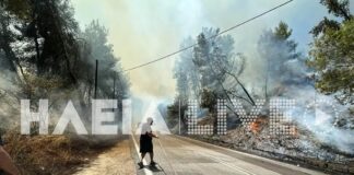Μήνυμα του 112 για τη φωτιά στην Ηλεία – Καίει σε 2 μέτωπα