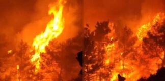 Σε ύφεση η μεγάλη φωτιά στη Ρόδο – «Έχουν ήδη καεί 30.000 στρέμματα παρθένου δάσους»