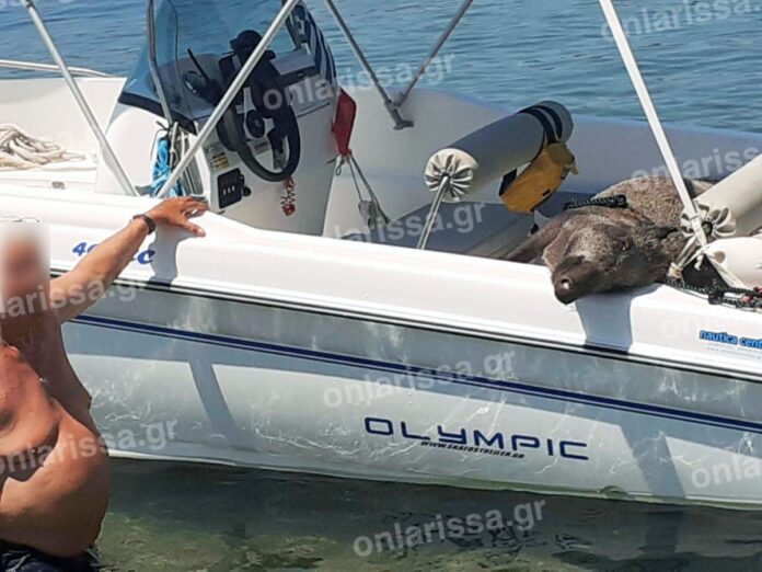 202307081504552414-1200x900