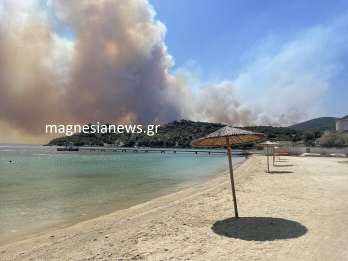 357250998_818362243080800_1778801418480859639_n