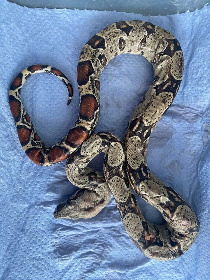 358022140_254809467169052_3439878076339958999_n