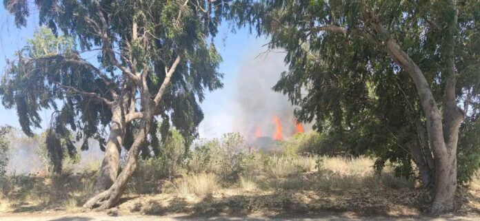 358391742_172110399193731_8011771292172853020_n-1