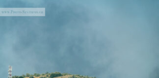 Πρόεδρος Πυροσβεστών: «Το 95% των πυρκαγιών ξεκινάει από ανθρώπινο χέρι»