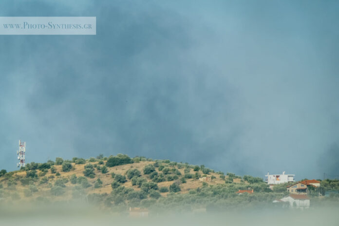 362929085_6615820325146540_8598458107152858184_n