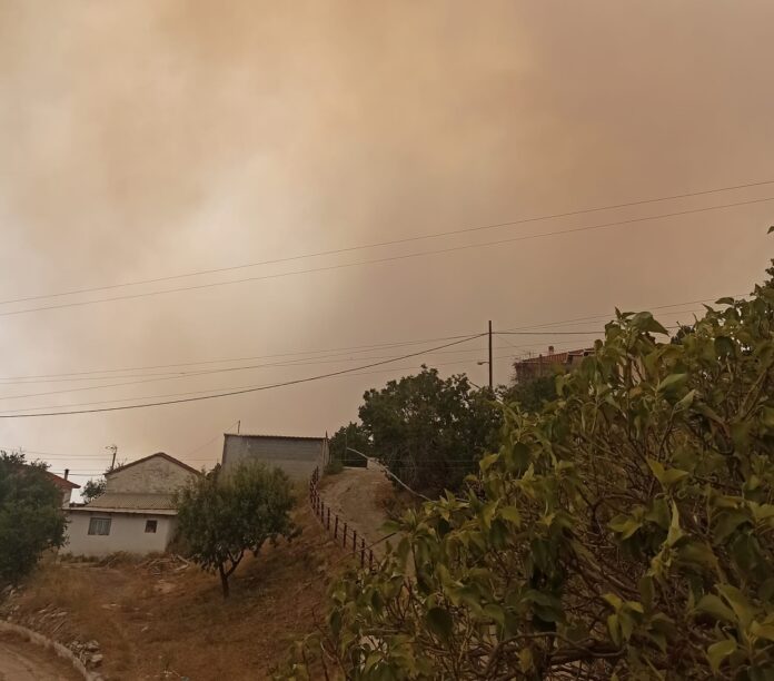 363414452_6781798158526391_3762835321214014747_n