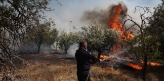 Ριπές ανέμου 8 μποφόρ δυσχεραίνουν τις προσπάθειες Πυροσβεστικής και εθελοντών