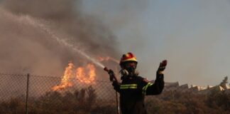 «Αυτή τη στιγμή θέλω να πεθάνω» – Η ανάρτηση της υπεύθυνης του καταφυγίου ζώων που κάηκε στο Λαγονήσι