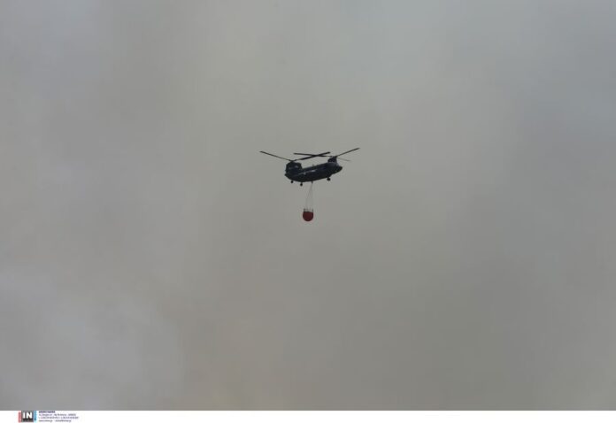3911658