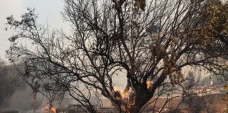 «Δεν υπάρχει αεροπλάνο ούτε πυροσβέστης, μας έχουν αφήσει στο έλεος του Θεού»